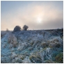 slides/Frosted.jpg west sussex cold winter bury hill blue sun hoar frost main road a29 mist cloud blue sky Frosted